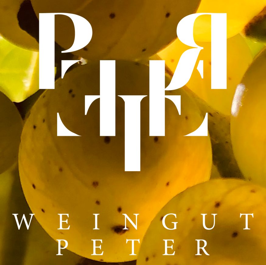weingut peter wachenheim